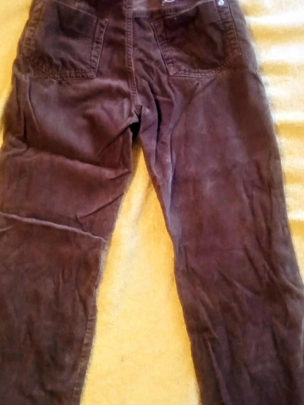 Tony Hawk Brown Corduroy Kids Casual Pants